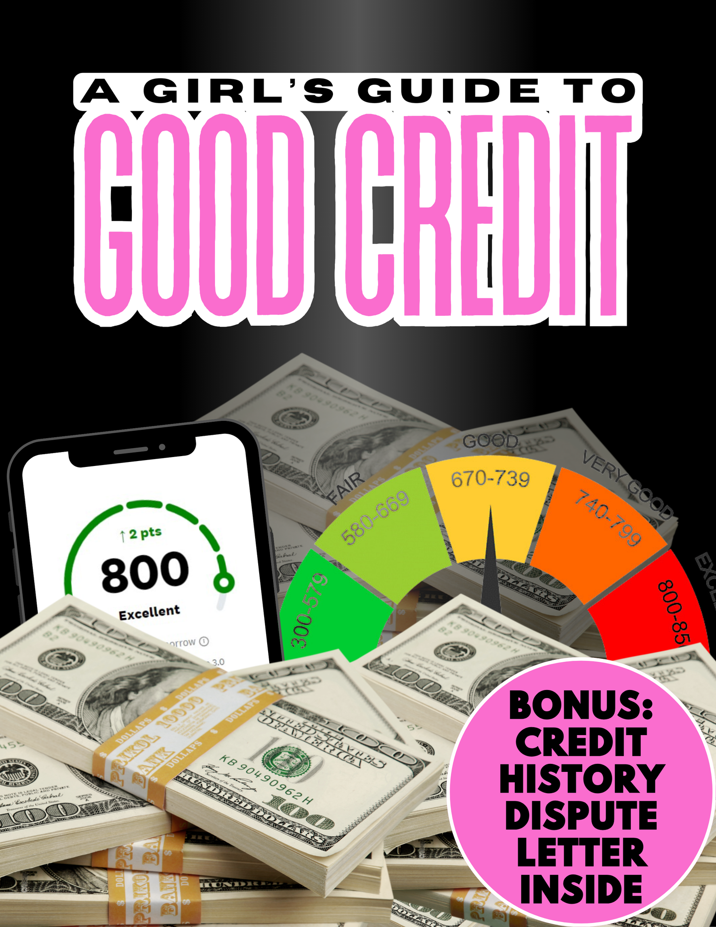 Girl's Guide to Good Credit - instant Download